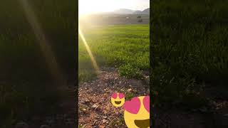 natural vibe🌲🌹| morocco 🏞 | طبيعة المغرب ايت باعمران