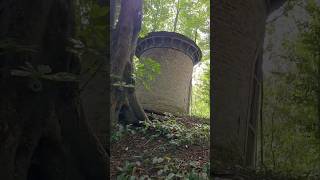 exploring beautiful nature and finding a old building