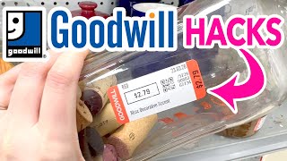 OUTDOOR GOODWILL HACKS! 🤩 Brilliant Thrift Flips + Dollar Tree DIYs!