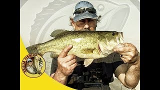 XZone Fat Finesse Worm - Heat Wave Bass Fishing on Lake Couchiching (2017)