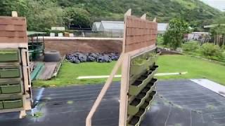 Tropical Green Roof and Living Wall Research Center Tour for TPSS 300: In the Times of COVID