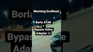 Mustang EcoBoost Borla ATAK + C&L Bypass Valve Adapter