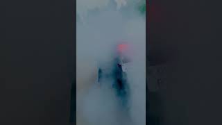 Kawasaki Z900 Burnout  #z900 #burnout  #reaction