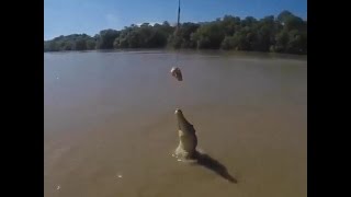 Jumping Crocodile