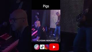 Pigs - Floydian Memories