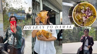 Alu Chips delivered to Damak