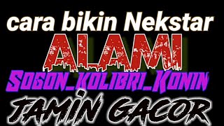 Cara bikin nekstar Alami//Bikin burung cepet Gacor