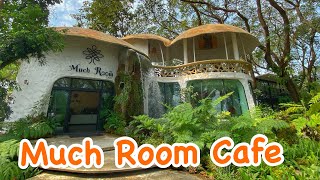 พาเที่ยว MuchRoom Cafe เชียงใหม่