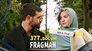 Kan Çiçekleri 377. Bölüm Fragmanı «Ben Evladımı Bir Kez Daha Kaybedemem» Vendetta Episode 377 Promo