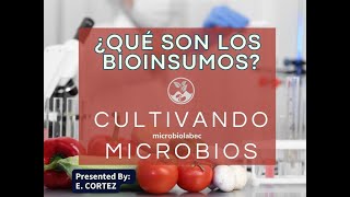 ¿Que son los bioinsumos y cómo implementarlos?