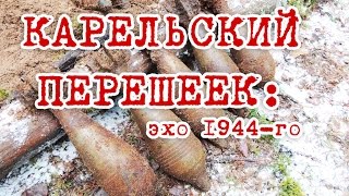 Нашли тайник минометчиков в карельском лесу!/Раскопки второй мировой войны