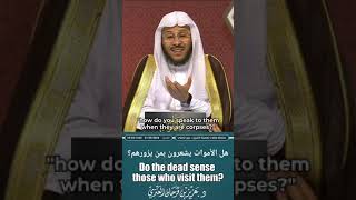 Do the dead sense those who visit them?هل الأموات يشعرون بمن يزورهم؟