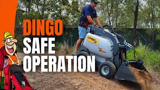 Dingo Safe Operation