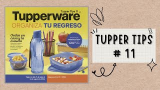 TUPPER TIPS 11  2022 ||  TUPPERWARE MÉXICO  || Catalogo Tupperware