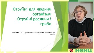 Отруйні для людини організми Отруйні рослини Аконіт  Болиголов Цикута Чемериця Лобеля