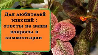 Для любителей эписций : ответы на ваши  вопросы и комментарии