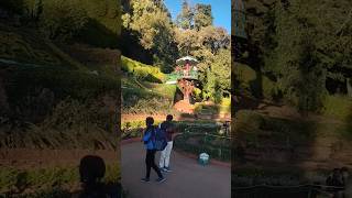 botanical garden, ooty