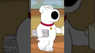 Did you do this : family guy #shorts #familyguy #funnymoments