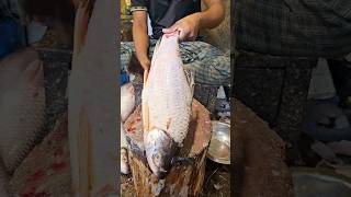 Amazing Rohu Fish Cutting Skills In Bangladesh Fish Market By Expert Cutter #shorts