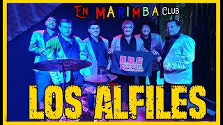 #179) GIRA CON LOS ALFILES EN SANTIAGO DEL ESTERO //LOS ALFILES EN VIVO EN MARIMBA CLUB// PARTE N° 1