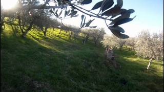 M.A.S.T. Battipaglia - Allenamento 15 Gennaio 2012 - Parte 1