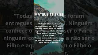 MATEUS 11: 27, 28 | CONHEÇA O SEU PAI #deus #jesus #senhor