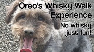 My Dog's (Oreo) Whisky Walk - Extra footage from the GlenDronach 21 Whisky Walks