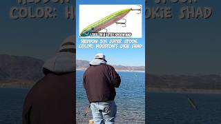 Heddon Super Spook & practicing my cast #heddon #lakemead #fishinglife #superspook #basslures #fish