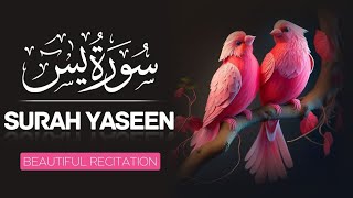 Surah Yaseen(Yasin) | Full with Arabic| Beautiful Quran Recitation| 000003