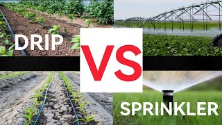 Drip Irrigation Vs Sprinkler Irrigation | Which is a Better Choice For Your Farm?