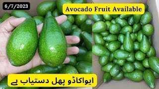 Avocado Fruit Available | Avocado Fruit In Pakistan | Rare Garden