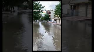 Alger plage venise