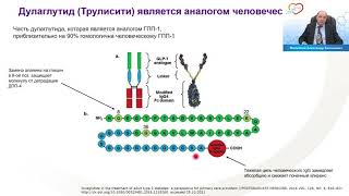 Взгляд кардиолога на пациента с сахарным диабетом 2 типа.  В чем преимущества назначения арГПП 1?