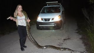 Huge Python Captured in South Florida!!