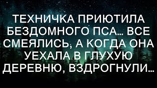 Техничка приютила бездомного пса, и все в школе смеялись над ней. Они не понимали, зачем ей нужен