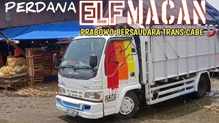 PERDANA ELF MACAN PBTC LANGSUNG MUAT CABE