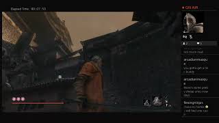 Sekiro Castle Walkthrough