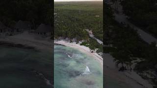 Beach in Tulum, Mexico💫🌊 #yucatanpeninsula #beachvibes #droneview