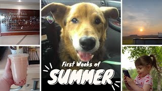 The First Weeks of Summer Break (Dog Walking Business, College Visit, Photoshoots, & More)