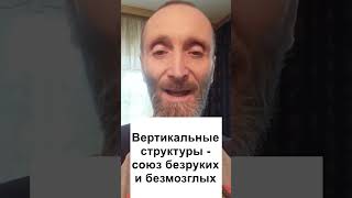 Вертикальные структуры это союз безруких и безмозглых