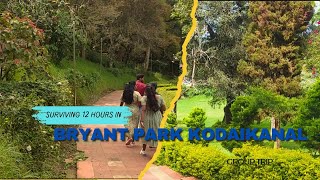 🌸 Explore Bryant Park, Kodaikanal’ Stunning Botanical Garden! 🌸#bryantpark #kodaikanal #south #hills