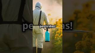 🐝🌼 ¡Salvemos a las Abejas Silvestres! Guardianas Esenciales de la Naturaleza 🌍🌸 #agricultura#sv