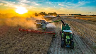 Žně 2021 | Claas Lexion 780tt 750tt, 570, Claas Axion 830 | Agro Novotný | First Farms Malacky