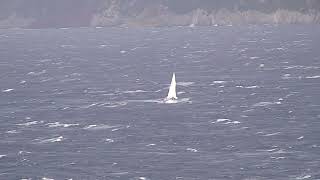 con un discreto libeccio una barca a vela rientra in portoferraio