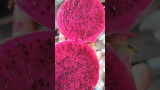 ##😊😇Dragon Fruit😊😇###