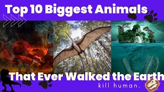 TOP 10 BIGGEST ANIMAS THAT EVER WALKED THE EARTH. #animal #fact #biggest #underwater