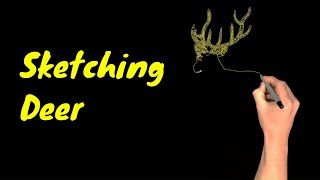 Deer Sketch drawing/Draw Hacks/An unusual way of sketching/Islamic nasheed