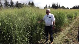 Ontario Switchgrass Field Day Interview with Don Nott of Clinton, Ontario, Canada