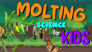 Molting | Science for Kids