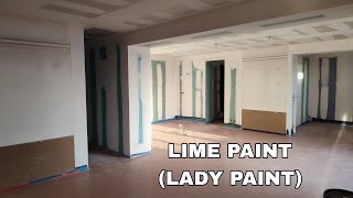 Pregătire Pereți Vopsea LIME PAINT